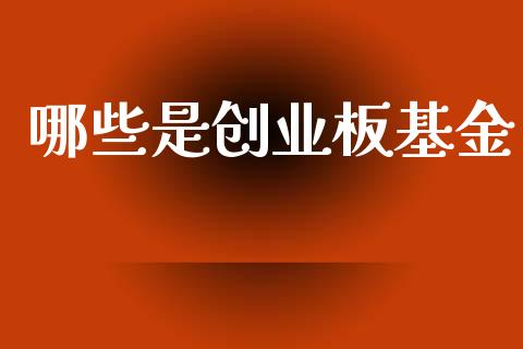哪些是创业板基金_https://wap.letulww.com_投资策略_第1张