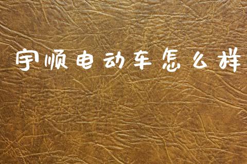 宇顺电动车怎么样_https://wap.letulww.com_投资策略_第1张