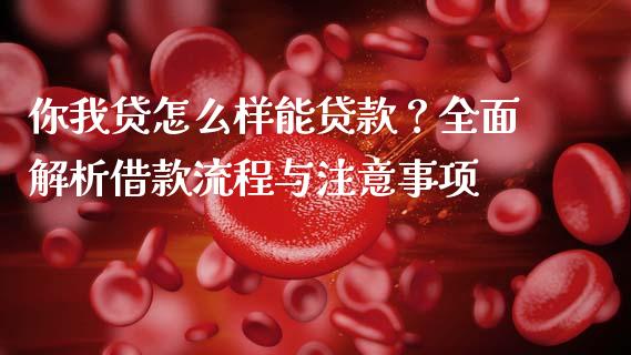 你我贷怎么样能贷款？全面解析借款流程与注意事项_https://wap.letulww.com_投资策略_第1张