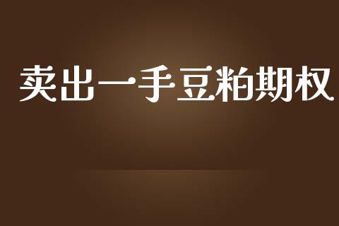 卖出一手豆粕期权_https://wap.letulww.com_投资管理_第1张