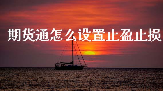 期货通怎么设置止盈止损_https://wap.letulww.com_投资策略_第1张