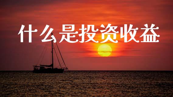 什么是投资收益_https://wap.letulww.com_外汇交易_第1张
