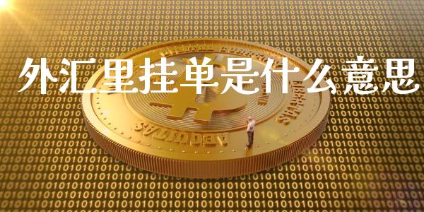 外汇里挂单是什么意思_https://wap.letulww.com_投资策略_第1张