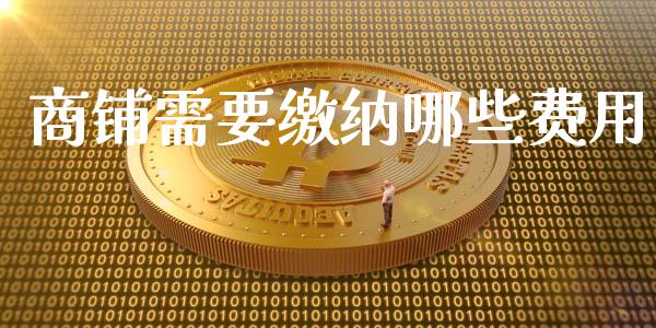 商铺需要缴纳哪些费用_https://wap.letulww.com_融资租赁_第1张