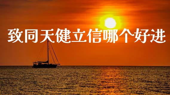 致同天健立信哪个好进_https://wap.letulww.com_投资管理_第1张