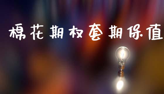 棉花期权套期保值_https://wap.letulww.com_融资租赁_第1张