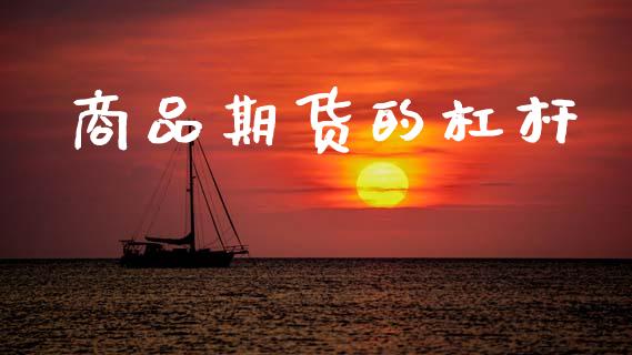 商品期货的杠杆_https://wap.letulww.com_投资策略_第1张