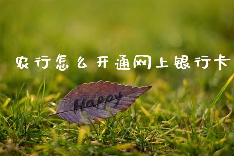 农行怎么开通网上银行卡_https://wap.letulww.com_外汇交易_第1张