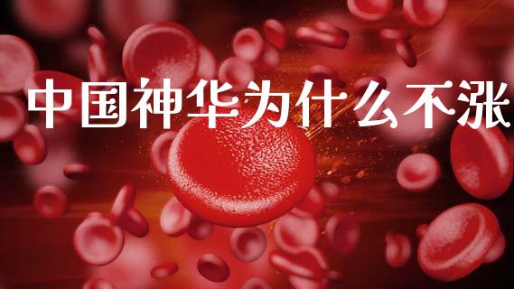 中国神华为什么不涨_https://wap.letulww.com_外汇交易_第1张