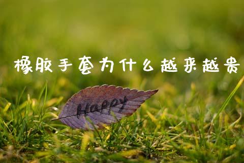橡胶手套为什么越来越贵_https://wap.letulww.com_投资策略_第1张