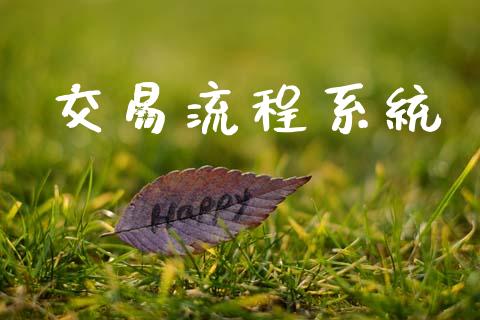 交易流程系统_https://wap.letulww.com_融资租赁_第1张