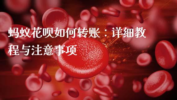 蚂蚁花呗如何转账：详细教程与注意事项_https://wap.letulww.com_投资管理_第1张