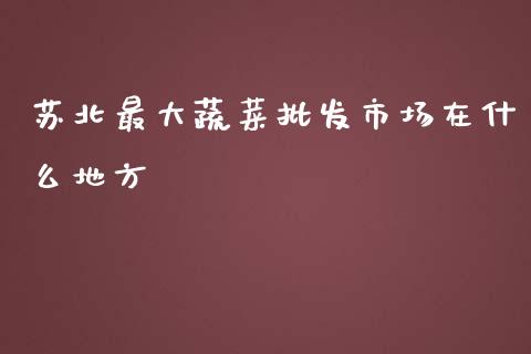 苏北最大蔬菜批发市场在什么地方_https://wap.letulww.com_投资管理_第1张