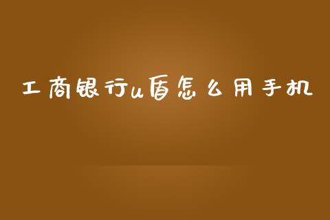 工商银行u盾怎么用手机_https://wap.letulww.com_外汇交易_第1张
