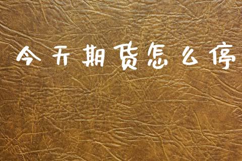 今天期货怎么停_https://wap.letulww.com_外汇交易_第1张