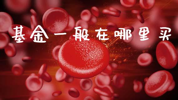 基金一般在哪里买_https://wap.letulww.com_外汇交易_第1张