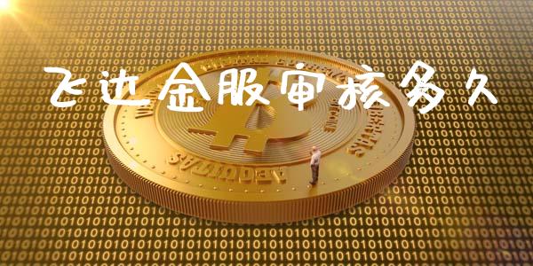 飞达金服审核多久_https://wap.letulww.com_融资租赁_第1张
