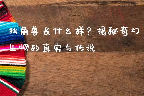 独角兽长什么样？揭秘奇幻生物的真实与传说_https://wap.letulww.com_投资策略_第1张