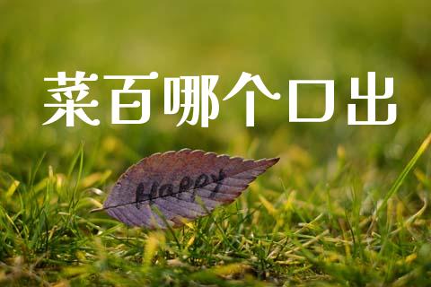 菜百哪个口出_https://wap.letulww.com_外汇交易_第1张
