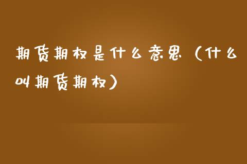 期货期权是什么意思（什么叫期货期权）_https://wap.letulww.com_外汇交易_第1张