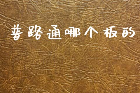 普路通哪个板的_https://wap.letulww.com_投资管理_第1张