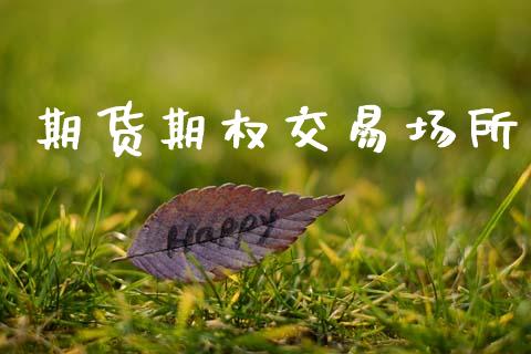 期货期权交易场所_https://wap.letulww.com_融资租赁_第1张