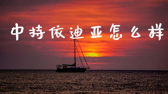 中持依迪亚怎么样_https://wap.letulww.com_投资管理_第1张