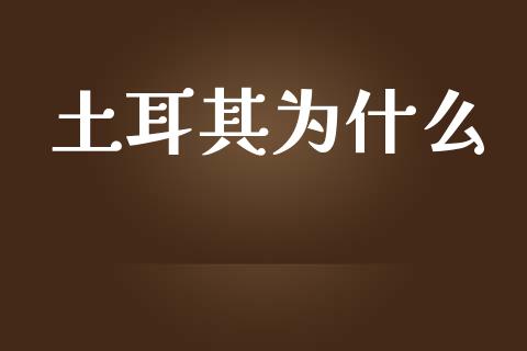 土耳其为什么_https://wap.letulww.com_投资管理_第1张