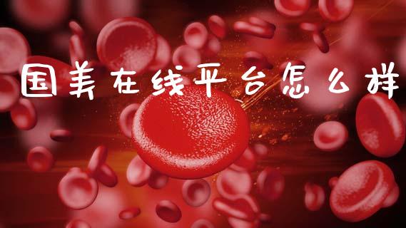 国美在线平台怎么样_https://wap.letulww.com_投资管理_第1张