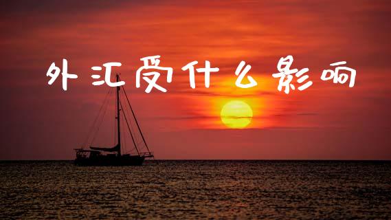 外汇受什么影响_https://wap.letulww.com_投资管理_第1张