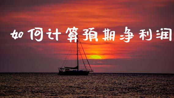 如何计算预期净利润_https://wap.letulww.com_投资策略_第1张