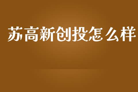 苏高新创投怎么样_https://wap.letulww.com_投资管理_第1张
