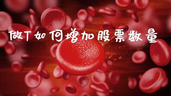 做T如何增加股票数量_https://wap.letulww.com_融资租赁_第1张
