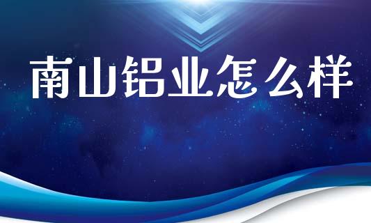 南山铝业怎么样_https://wap.letulww.com_融资租赁_第1张