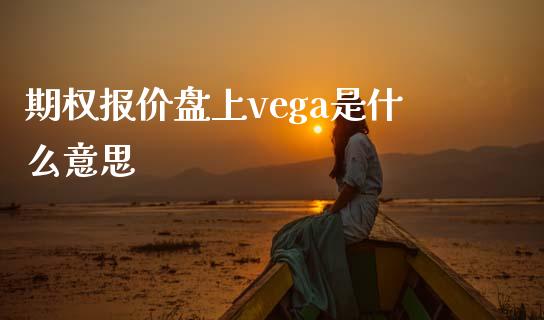 期权报价盘上vega是什么意思_https://wap.letulww.com_融资租赁_第1张