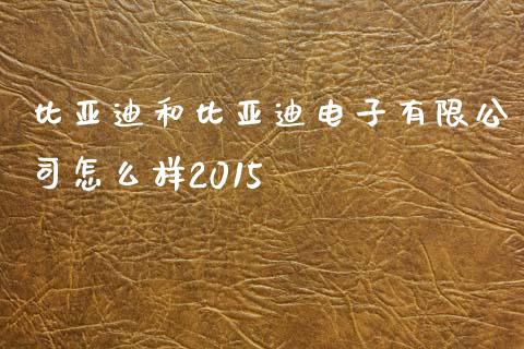 比亚迪和比亚迪电子有限公司怎么样2015_https://wap.letulww.com_外汇交易_第1张
