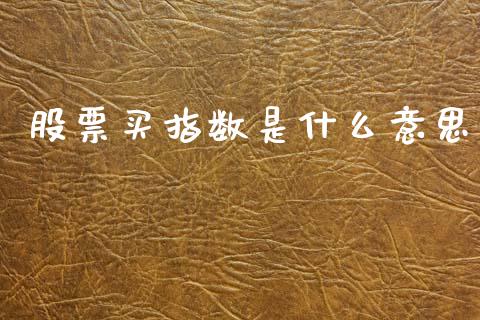 股票买指数是什么意思_https://wap.letulww.com_投资策略_第1张