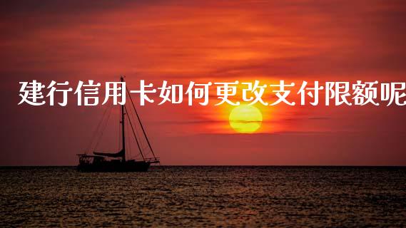 建行信用卡如何更改支付限额呢_https://wap.letulww.com_投资管理_第1张