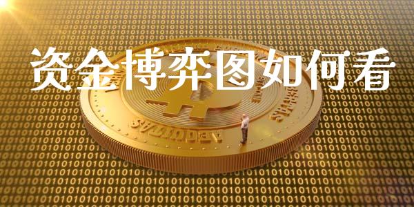 资金博弈图如何看_https://wap.letulww.com_投资策略_第1张