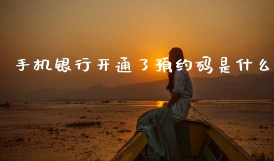 手机银行开通了预约码是什么_https://wap.letulww.com_投资策略_第1张