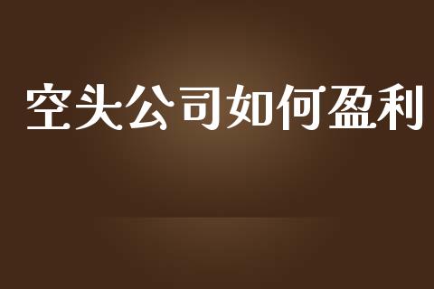空头公司如何盈利_https://wap.letulww.com_投资管理_第1张