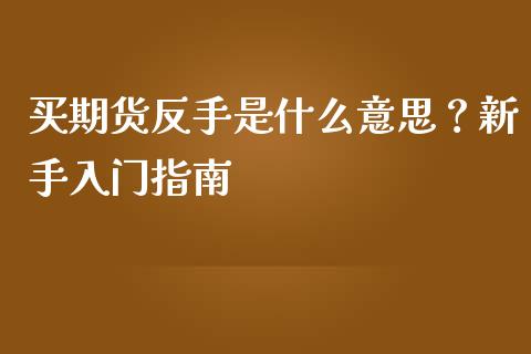 买期货反手是什么意思？新手入门指南_https://wap.letulww.com_投资策略_第1张
