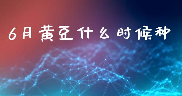 6月黄豆什么时候种_https://wap.letulww.com_投资管理_第1张