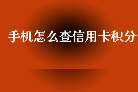 手机怎么查信用卡积分_https://wap.letulww.com_投资策略_第1张
