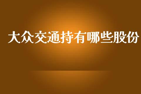 大众交通持有哪些股份_https://wap.letulww.com_外汇交易_第1张
