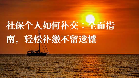 社保个人如何补交：全面指南，轻松补缴不留遗憾_https://wap.letulww.com_外汇交易_第1张