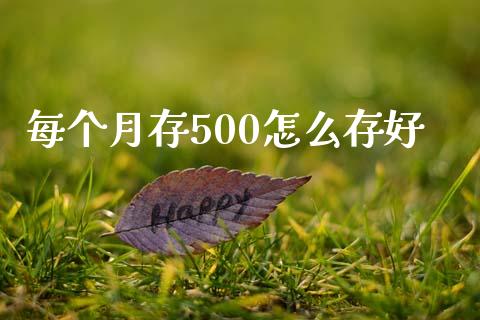 每个月存500怎么存好_https://wap.letulww.com_外汇交易_第1张