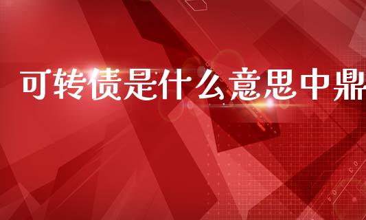 可转债是什么意思中鼎_https://wap.letulww.com_融资租赁_第1张