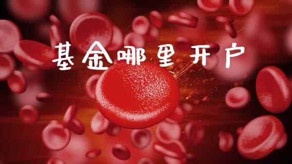 基金哪里开户_https://wap.letulww.com_外汇交易_第1张