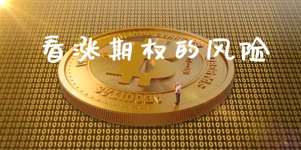 看涨期权的风险_https://wap.letulww.com_融资租赁_第1张